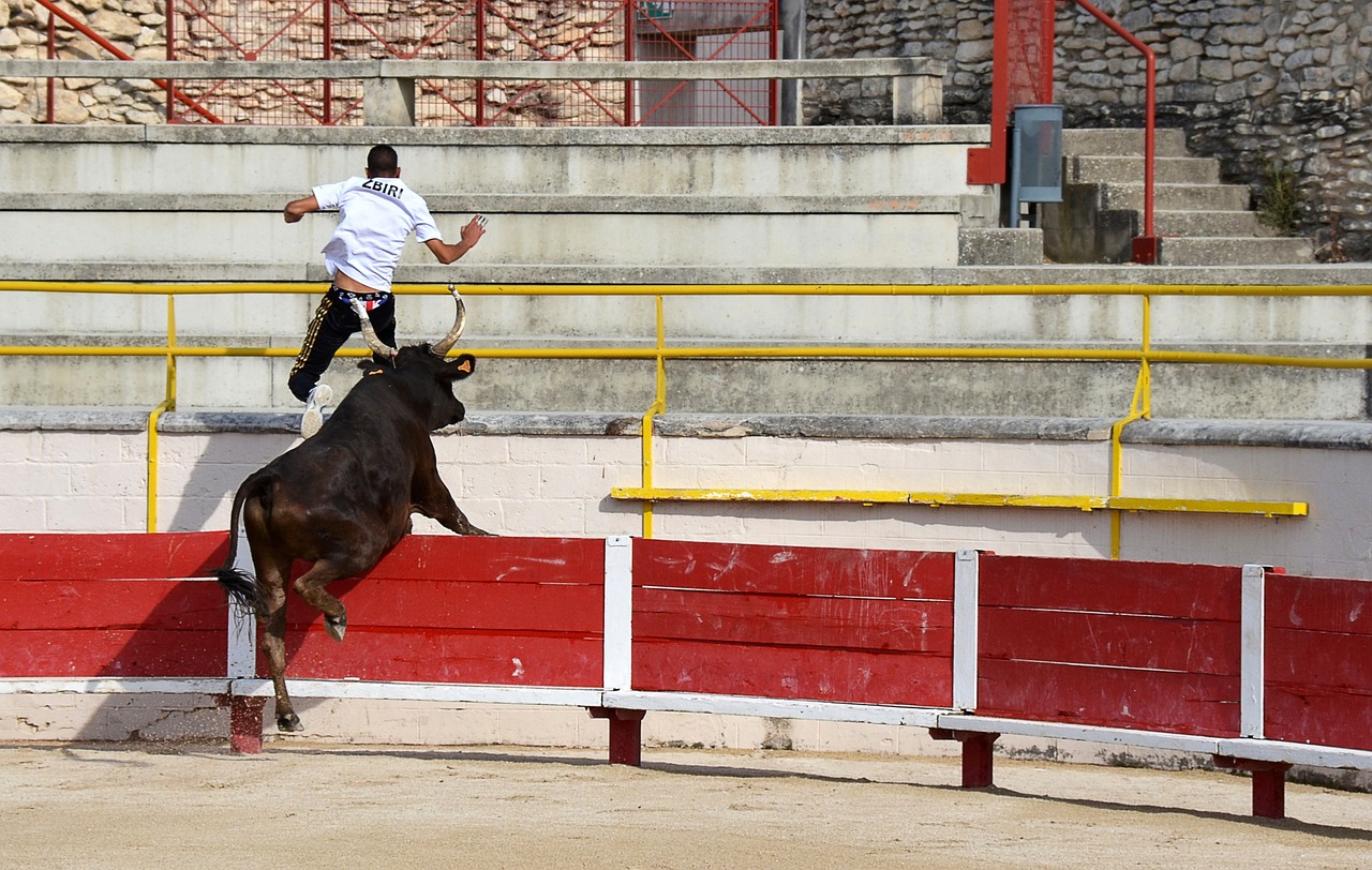 国家的女足