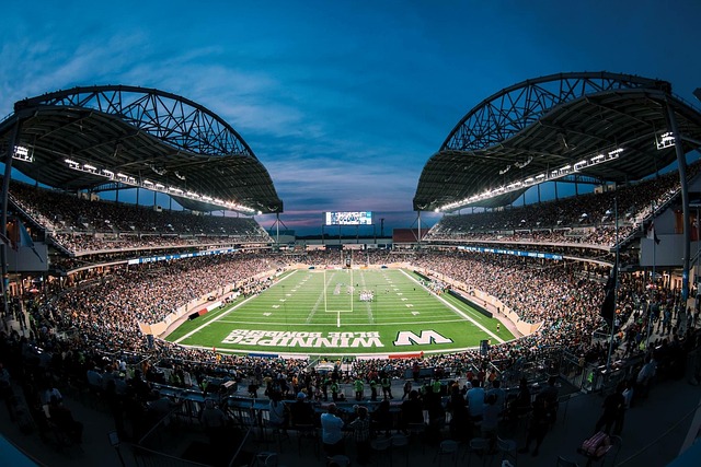 沃克的天才 沃克的天才