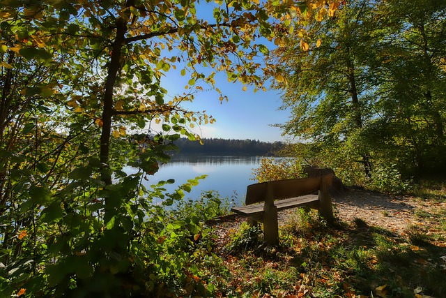 悬念和关注 悬念和关注