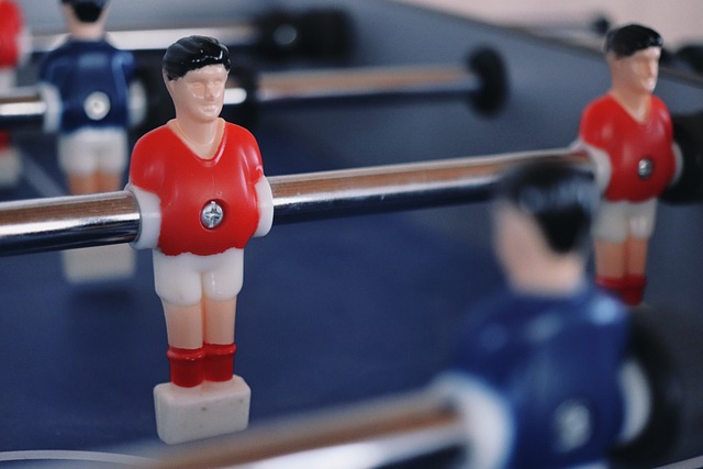 马来西亚政 马来西亚政