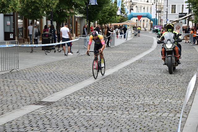 察的评论员 察的评论员