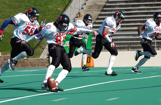 辰杰缺席所 辰杰缺席所