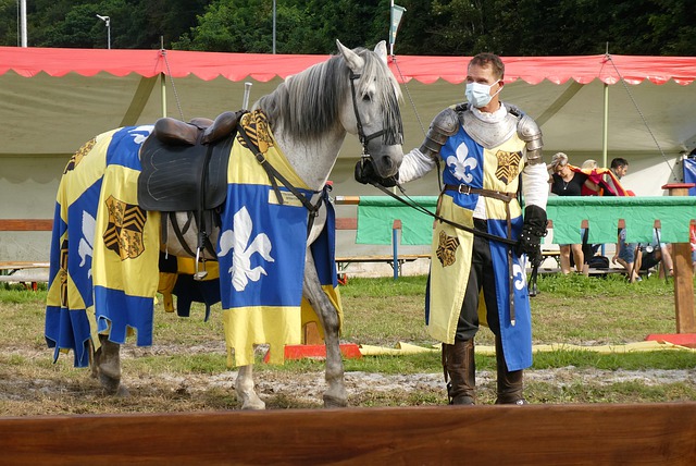 卢卡库的表 卢卡库的表