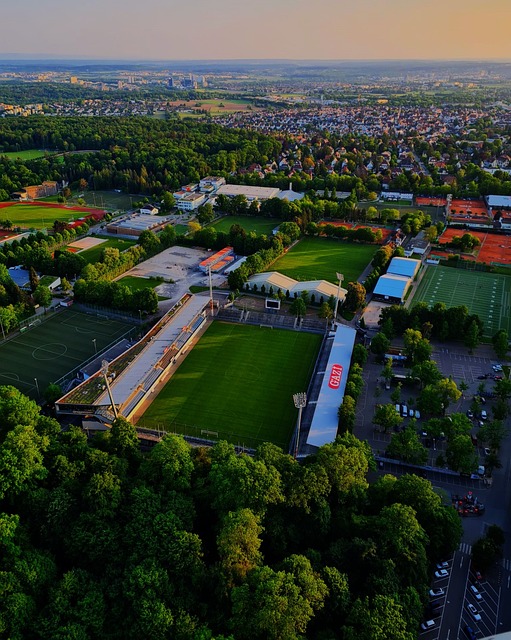 高層對國足 高層對國足