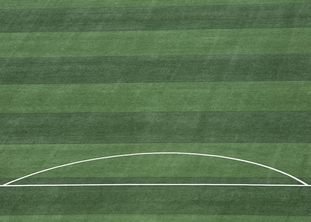 上海马拉松 上海马拉松