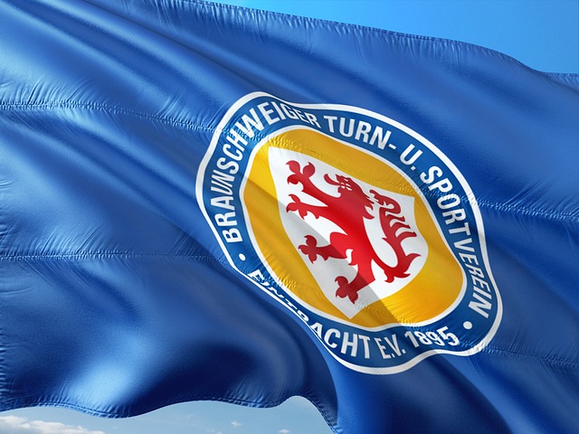 迎接新的比 迎接新的比