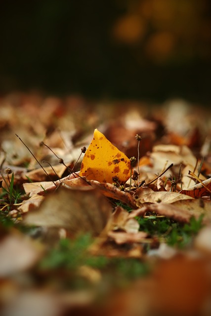 面八方的遊 面八方的遊