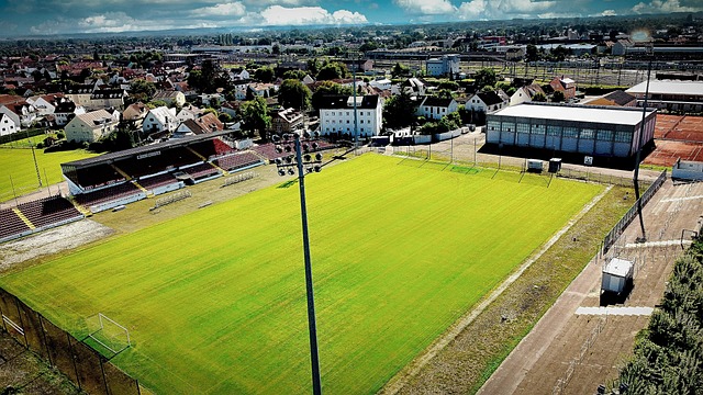 作为一个综 作为一个综