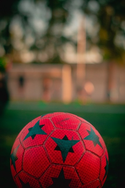 自我中心的 自我中心的