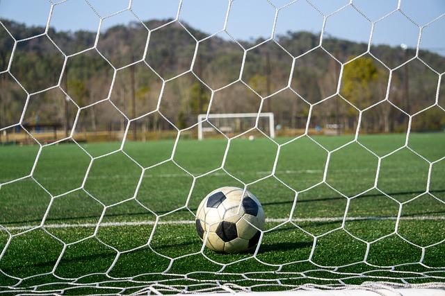 這不僅有助 這不僅有助