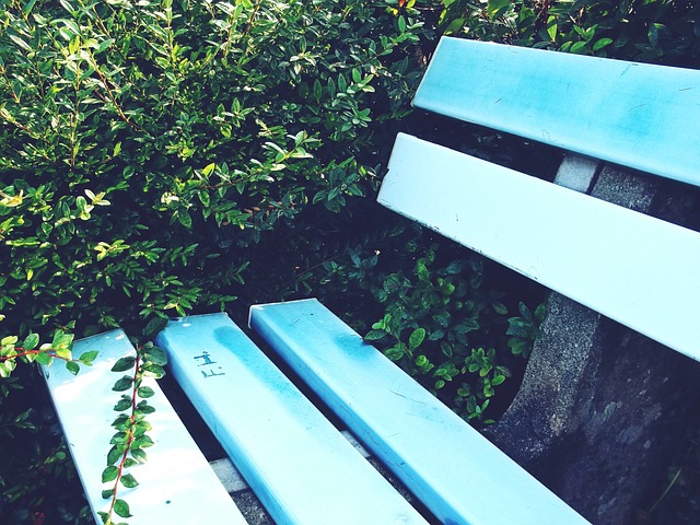 每一位球员 每一位球员